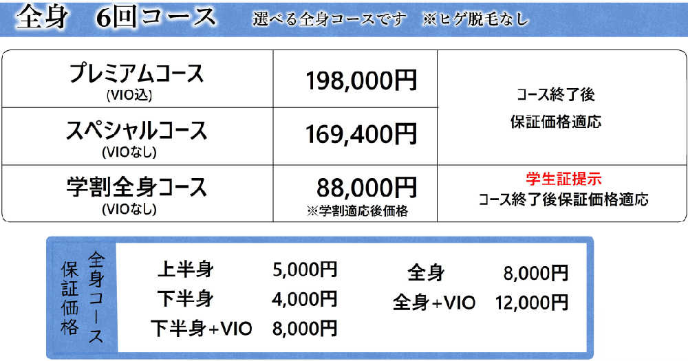 ボディ全身・セット1.jpg