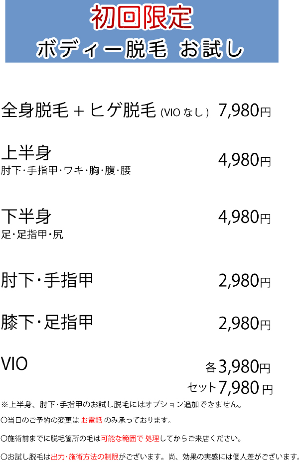 ハイブリッドおためし.jpg