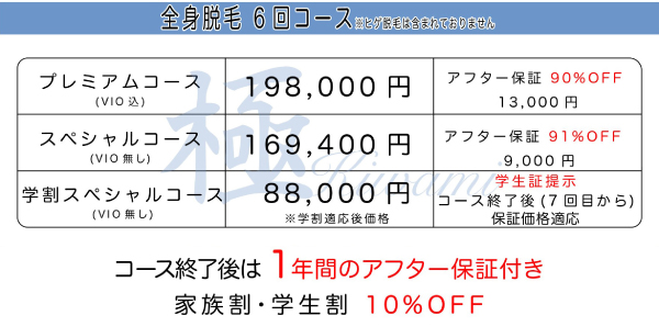 ボディ全身・セット1.jpg