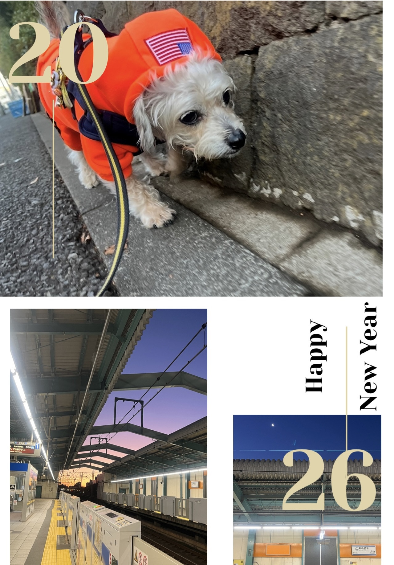 2026年もよろしくお願いします