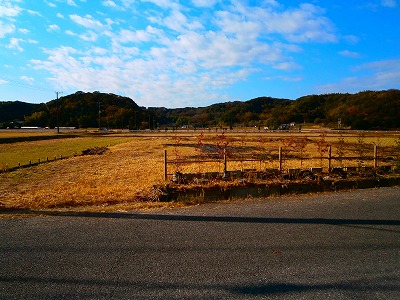 富津市相野谷 売地 約245坪 1,420万円