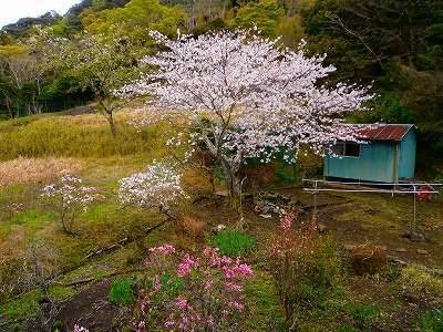 富津市竹岡 中古住宅 1,180万円