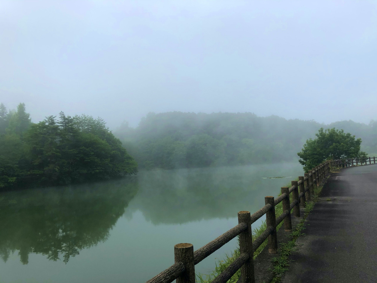 はげら池の朝もや、神秘的です。