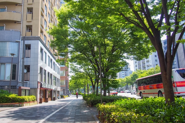 戸建て見学で押さえておきたい周辺環境のポイント