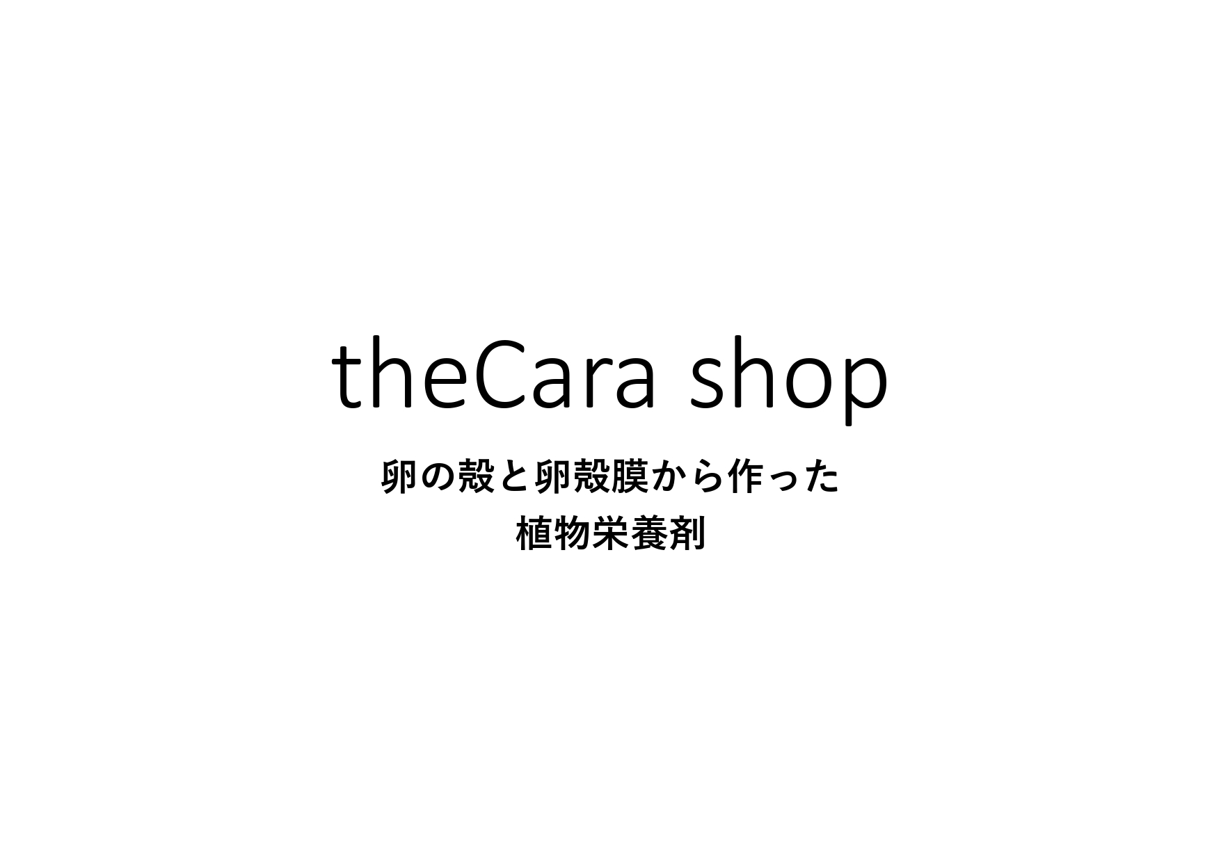 theCara shop 