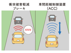 スクリーンショット (297).png