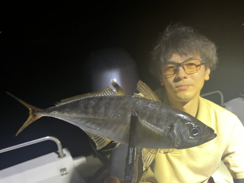 アジもタコもムラムラ