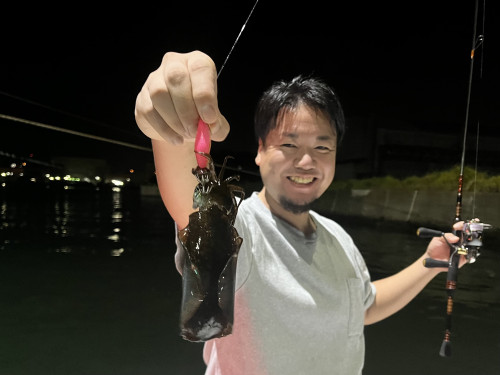 いつまで続く？豆サイズ