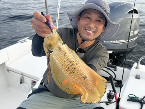 遠征ティップラン開幕から絶好調