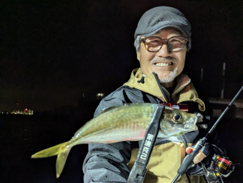 無いのかハイシーズン