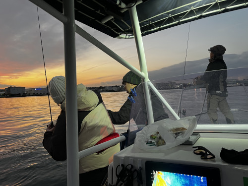 2025年最後ですな