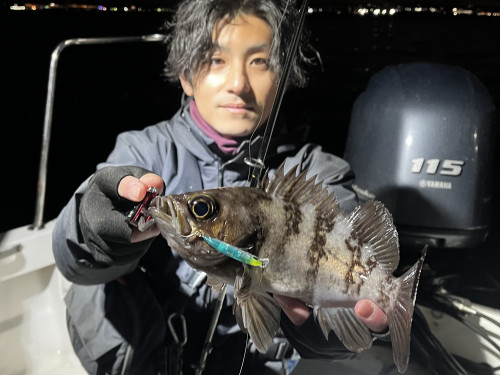 夜のアジは厳しいよ