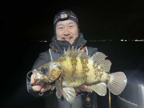 アジを釣りたいなら