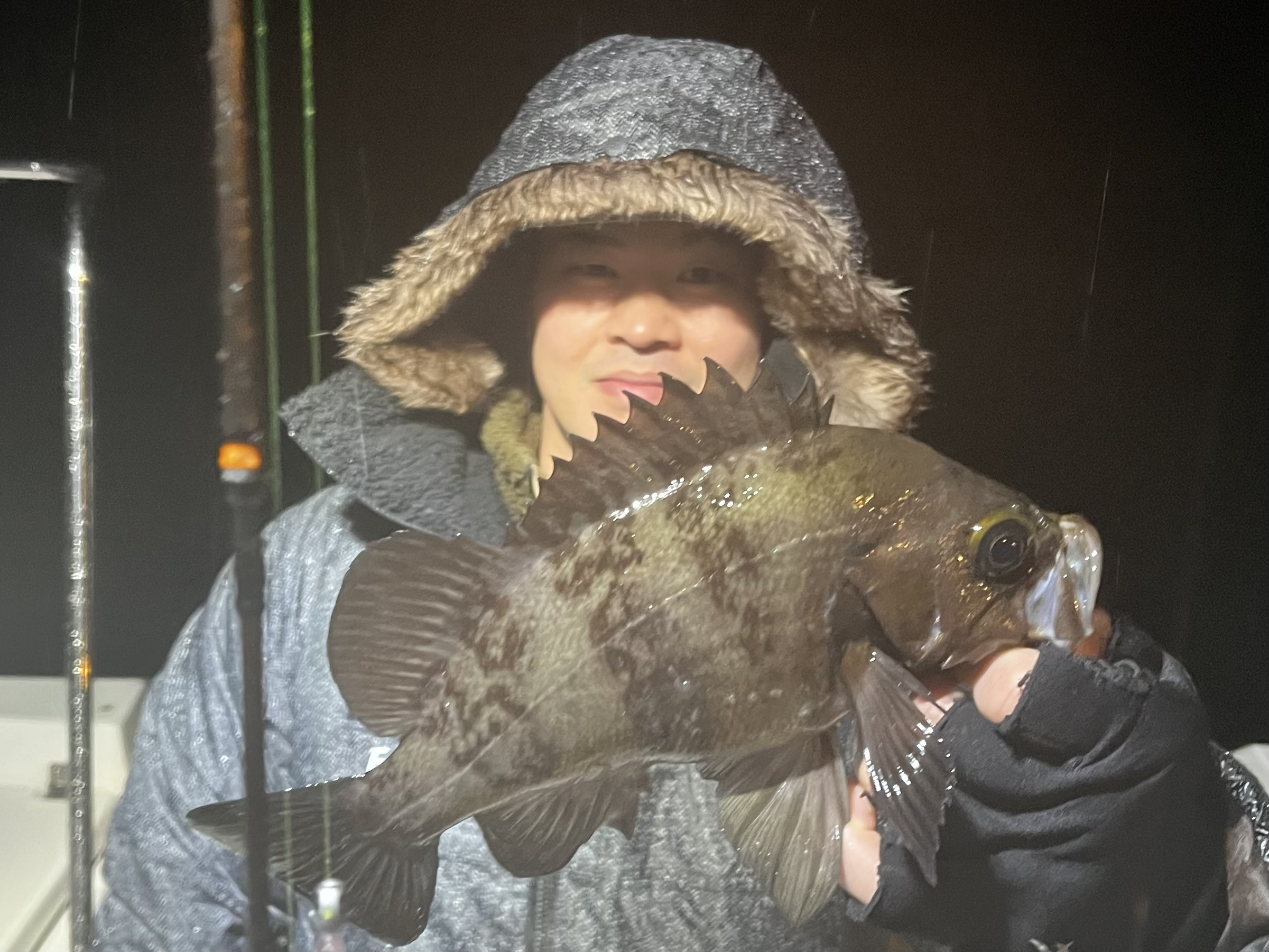 確実に春に向かってる