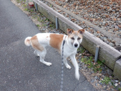 DSCF9679.JPG