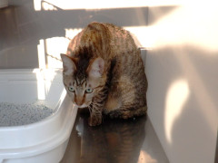 DSCF9744.JPG