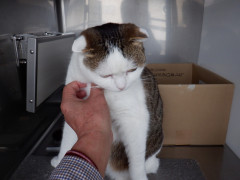 DSCF9777.JPG