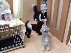 DSCF9836.JPG