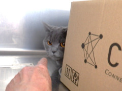 DSCF9839.JPG