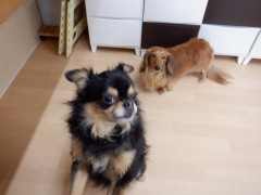 DSCF9894.JPG