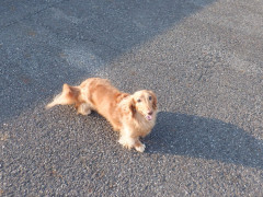 DSCF0010.JPG