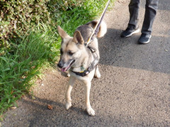 DSCF0566.JPG