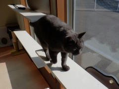 DSCF0610.JPG