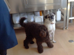 DSCF0619.JPG