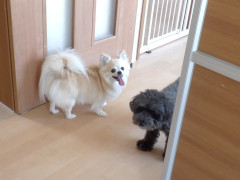 DSCF0637.JPG