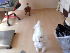 DSCF0634.JPG