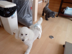 DSCF0661.JPG