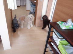 DSCF0653.JPG
