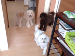 DSCF0654.JPG
