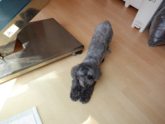DSCF0670.JPG