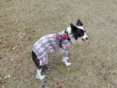 DSCF0685.JPG