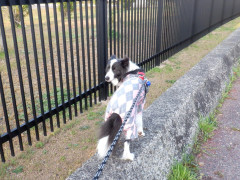 DSCF0707.JPG