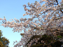 DSCF0699.JPG