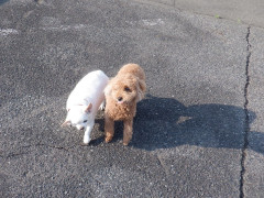 DSCF0712.JPG