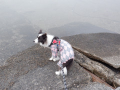 DSCF0713.JPG