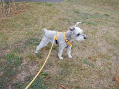 DSCF0722.JPG