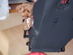 DSCF0728.JPG