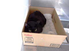 DSCF0733.JPG