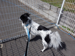 DSCF0738.JPG