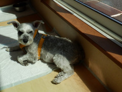 DSCF0748.JPG
