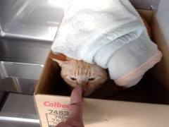DSCF0769.JPG