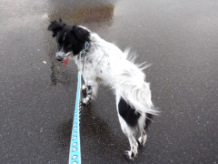 DSCF0756.JPG