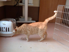 DSCF0775.JPG