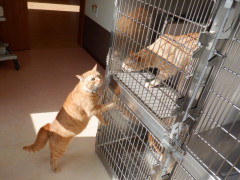 DSCF0793.JPG