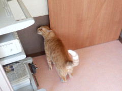 DSCF0780.JPG