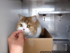 DSCF0802.JPG
